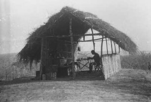 Lagerhütte im zweiten Tendaguru-Lager : Savannenlandschaft mit einer Hütte und einem Expeditionsmitglied darin.