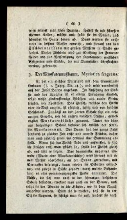 3. Der Muskatennußbaum, Myristica fragrans.