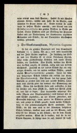 3. Der Muskatennußbaum, Myristica fragrans.
