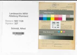 Entnazifizierung Alfred Schmidt , geb. 02.09.1901 (Fahrer)