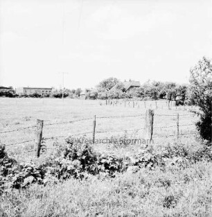 Landwirtschaft: Weide mit Zaun: im Hintergrund Bauernhäuser und Gewerbebetrieb Wille