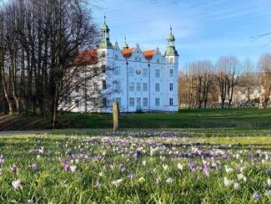Ahrensburg: Herrenhaus (Museum Schloss Ahrensburg): Gartenseite, davor Wiese mit Krokusblüten im Frühjahr