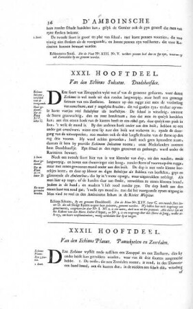 XXXI. Hooftdeel. Van den Echinus Sulcatus. Doodshoofden
