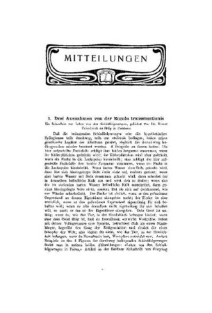 Drei Ausnahmen von der Regula transsumtionis