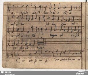 Burck, Joachim a: Certus sermo et dignus