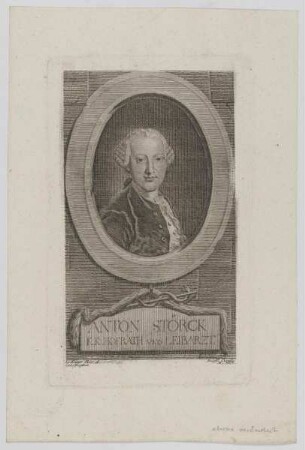Bildnis des Anton Störck
