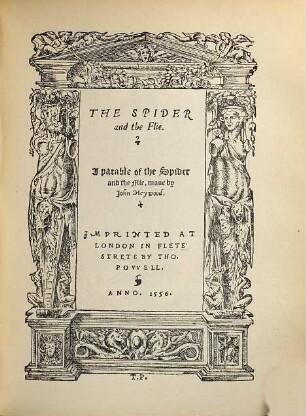 The spider and the flie