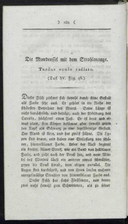 Taf. XV. Fig. 46. Die Meerdrossel mit dem Strahlenauge Fig. 47. Der Engelfisch Fig. 48. Der Seebarsch mit dem gestreiften Kopf