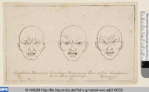 Gewaltsame Bewegung