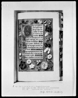 Gebetbuch mit Kalendarium — Initiale C und Vollbordüre, Folio 94recto
