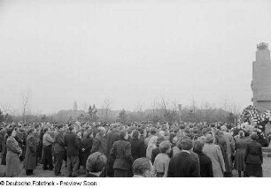 Kranzniederlegung zum 34. Jahrestag der Großen Sozialistischen Oktoberrevolution auf dem Trinitatisfriedhof
