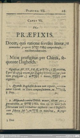 Caput VII. De Praefixis