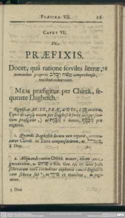 Caput VII. De Praefixis