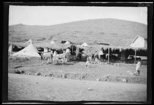 Nador (Marokko): Stallung der 3. und 4. Eskadron [des spanischen 8. Kavallerie-Regiments "Lusitania"] mit Zelten dahinter und davor