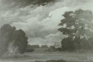 Wiesenlandschaft mit Bäumen