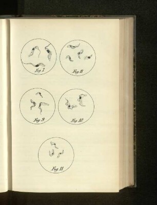 Fig. 7 - Fig. 11.