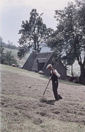 Bauer beim Heuwenden