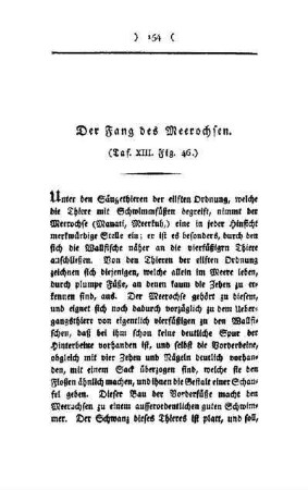 ¬Der¬ Fang des Meerochsen : Taf. XIII, Fig. 46
