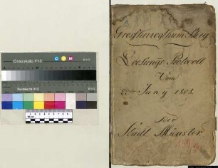 Losungs-Protokoll der Kirchspiele Aegidii, Liebfrauen, Ludgeri, Martini und Servatii von 1808