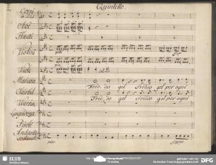 Quintetto: "Freddo gel per ogni vena"