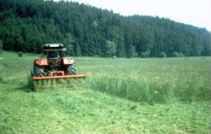 Fotografie: Pflegegerät, Mulchgerät, Schlegelmulcher