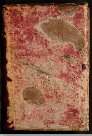 Evangelium secundum Johannem cum Glossa ordinaria - Cod.bibl.fol.79