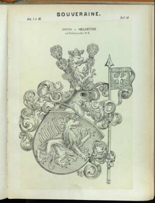 Taf. 18. Grafen v. Orlamünde n.d. Puchberg'schen W.-B.