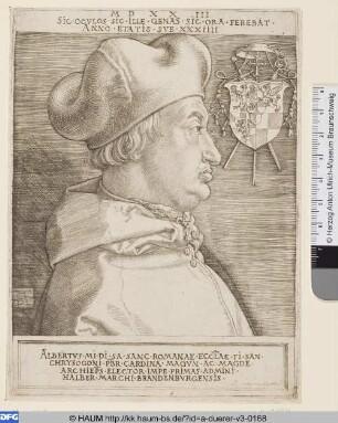 Kardinal Albrecht von Brandenburg (Der große Kardinal)