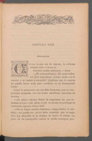 Capítulo XXIII - Alternativas