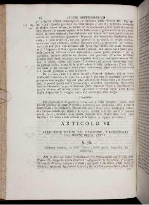 ARTICOLO VII.