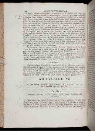 ARTICOLO VII.