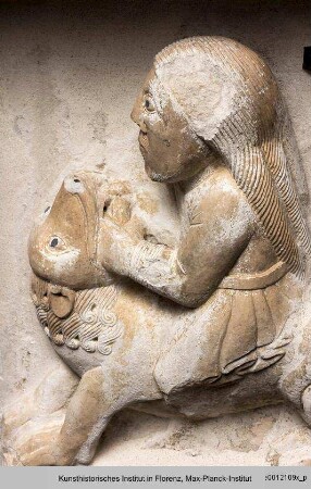 Samson und der Löwe