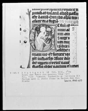 Lateinische Bibel in zwei Bänden für Franz von Gewicz — Initiale E (t factum est) mit Jonas im Rachen des Walfischs, Folio 157verso