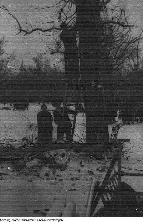 Dresden. Stukenroden für die frierende Bevölkerung im Winter 1946/47, 1947