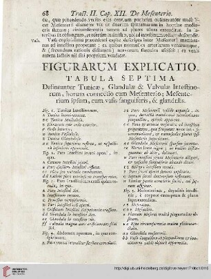 Figurarum Explicatio: Tabula septima