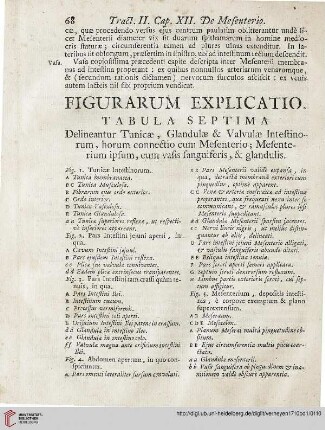 Figurarum Explicatio: Tabula septima