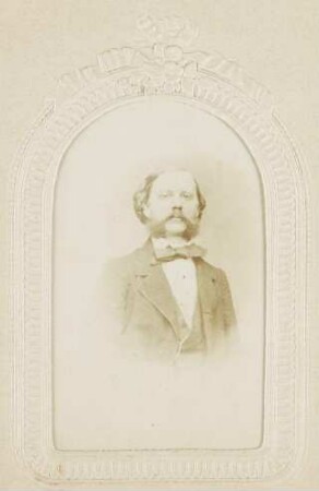 Carl von Hauer, Geologe