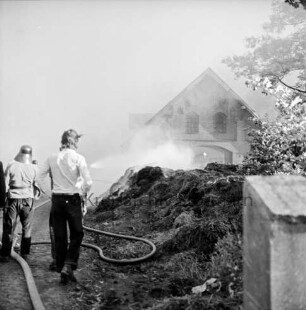 Gut Altfresenburg: Brand des Bullenstalls: links Feuerwehrleute beim Löschen eines Heuhaufens, Wasserschläuche: rechts Mauer und Baum: hinten Rauchschwaden und Stallgebäude: 24. August 1971