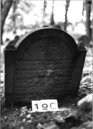 Grabstein 190 (Index: 99803247) Material: Sandstein Zustand: verwitt/eingesunk/Textverlust Maße HxBxT: 62x57x8 cm Beschreibung: Stele mit eingezogenem Rundbogen, Seitenakroterien Symbolik: Seitenakroterien: Grabstein 190