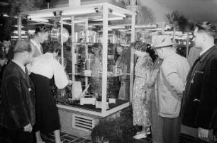Besucher der Leipziger Herbstmesse 1955 betrachten in einer Vitrine ausgestellte Haushaltswaren