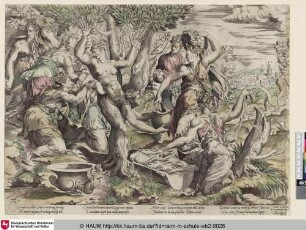 [La Naissance d'Adonis; The Birth of Adonis; Die Geburt des Adonis]