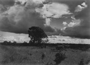 Savanne : Wolken über einer Savanne in Tansania