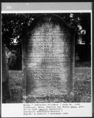 Grabstein von Mela Levi, Ehefrau des Moses Levi (+ 1838.12.29)