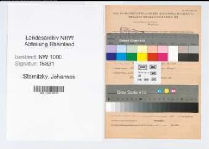 Entnazifizierung Johannes Sternitzky, geb. 15.04.1913 (Zeichner)