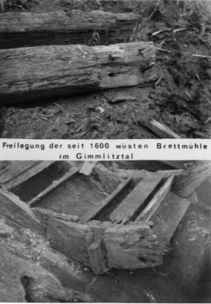 Reichenau-Hartmannsdorf-Reichenau. Freilegung der seit 1600 wüsten Brettmühle im Gimlitztal