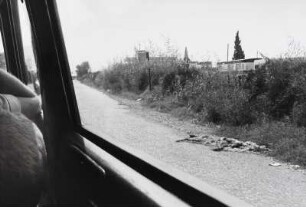 Blick aus einem Autofenster auf ein überfahrenes Tier am Straßenrand