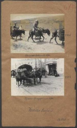 Typisches Pferdegespann in Tiflis