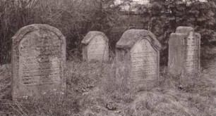 Judenfriedhof. Grabsteine