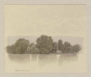 Rheininsel bei Eltville