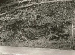 Sächsische Schweiz. "Lausitzer Überschiebung" des Granits auf Sandstein an der Wartenbergstraße im Polenztal bei Hohnstein